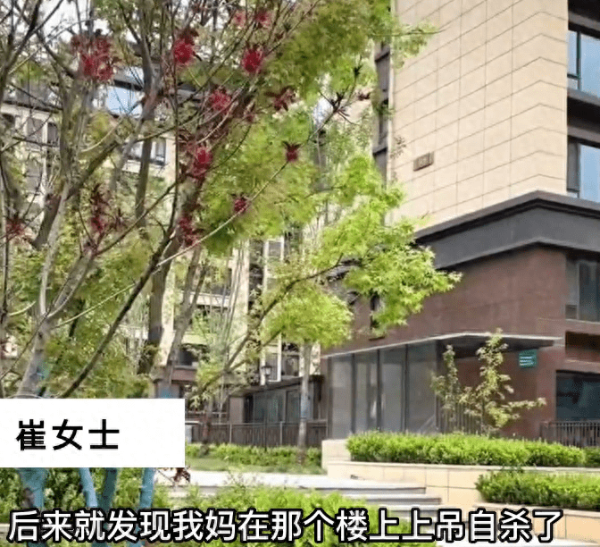 母婴保洁疑因扔掉业主限量鞋被索赔自安博体育官网杀谁该负责？(图1)