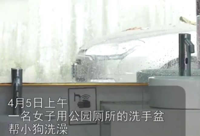 安博体育官网月嫂回顾 保洁劝阻女子公厕洗狗被打断6根肋骨扬言： 我的狗比你值钱(图2)